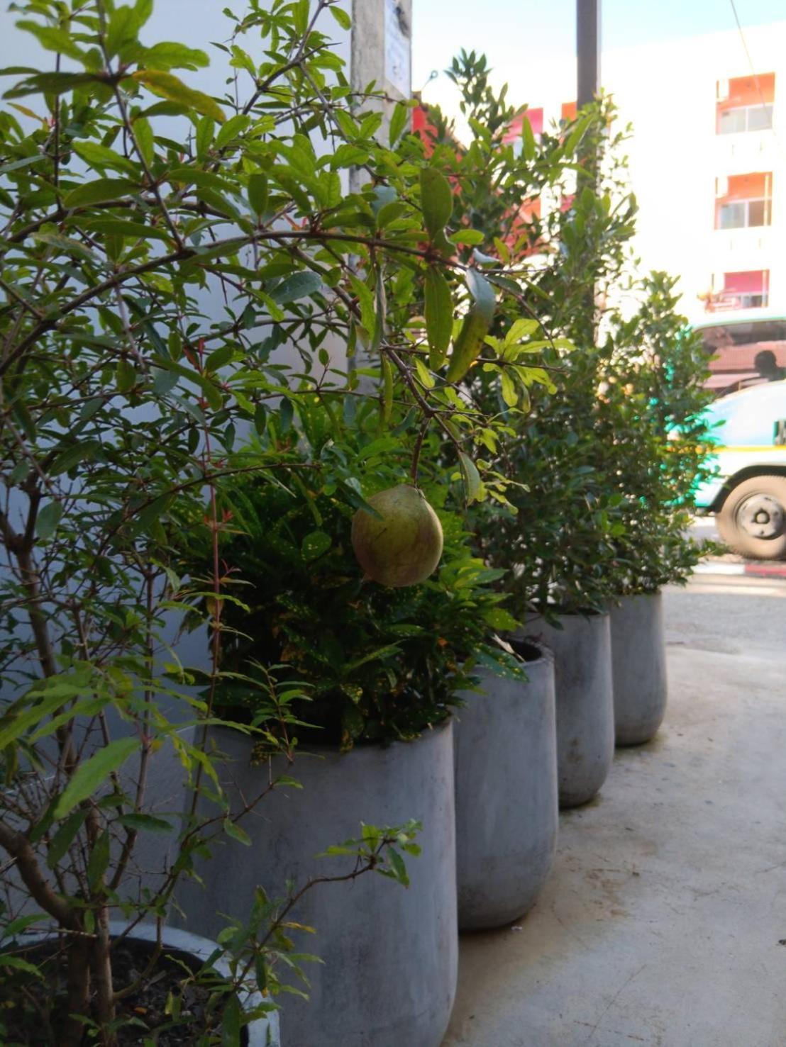 فندق The Brown Boutique Patong المظهر الخارجي الصورة